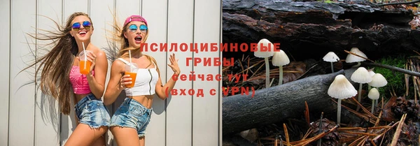 эйфоретик Осташков