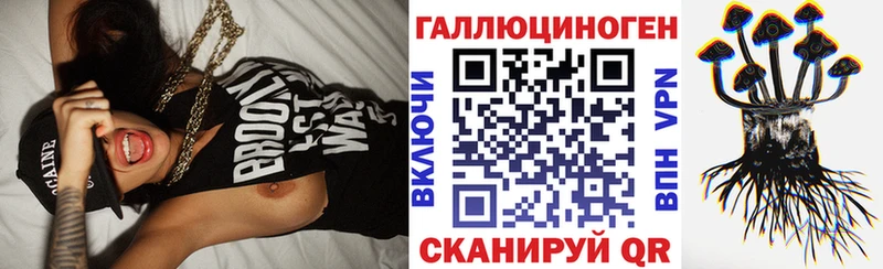Купить закладки  Цимлянск  Псилоцибиновые грибы GOLDEN TEACHER 